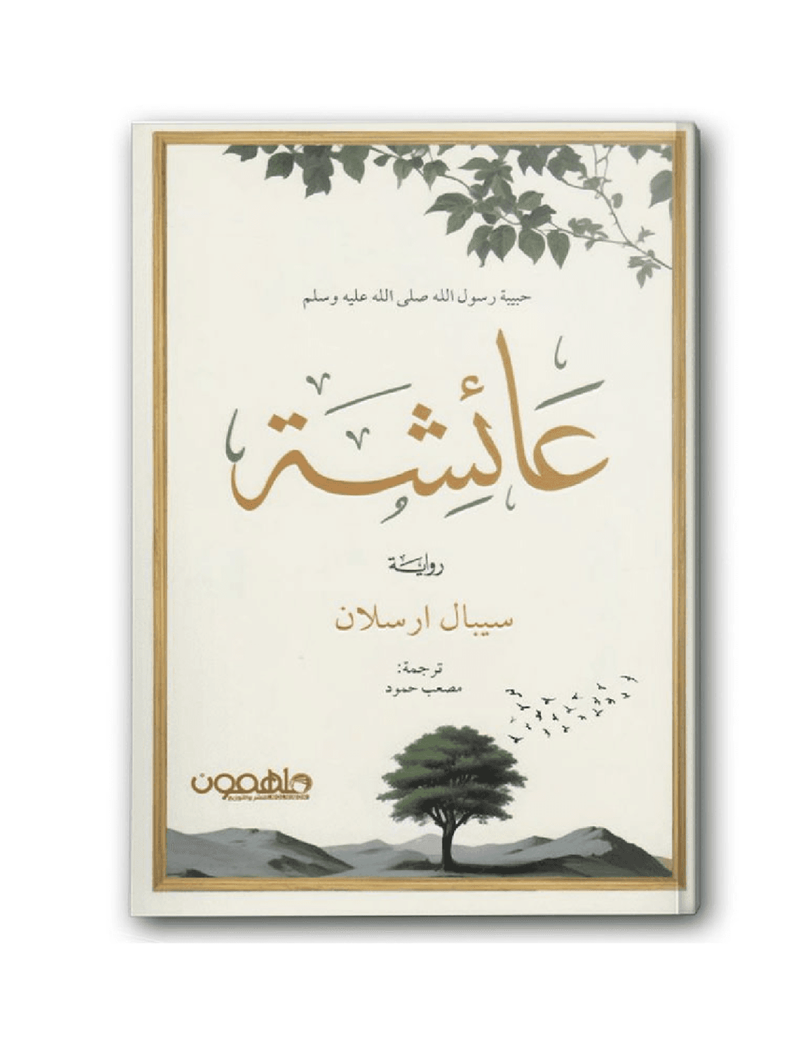 عائشة حبيبة رسول الله ﷺ